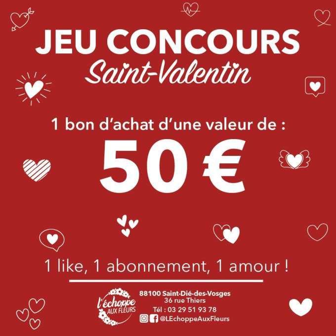 Concours Saint-Valentin photo 1